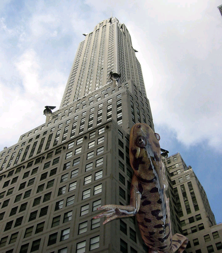 Diseño de Photoshop por Pearcie para DesignCrowd (Community Contests) | Diseño #9143287