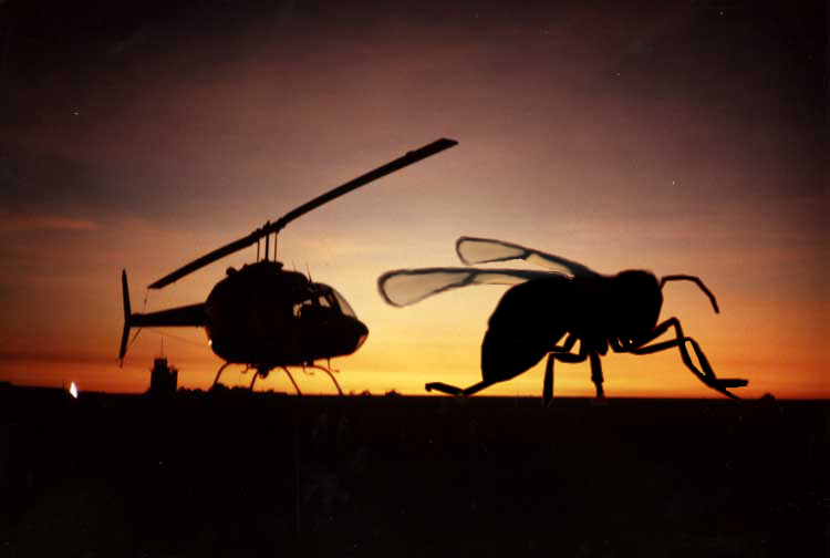 Photoshop Design by Stephie for DesignCrowd (Community Contests) | Design #9143346