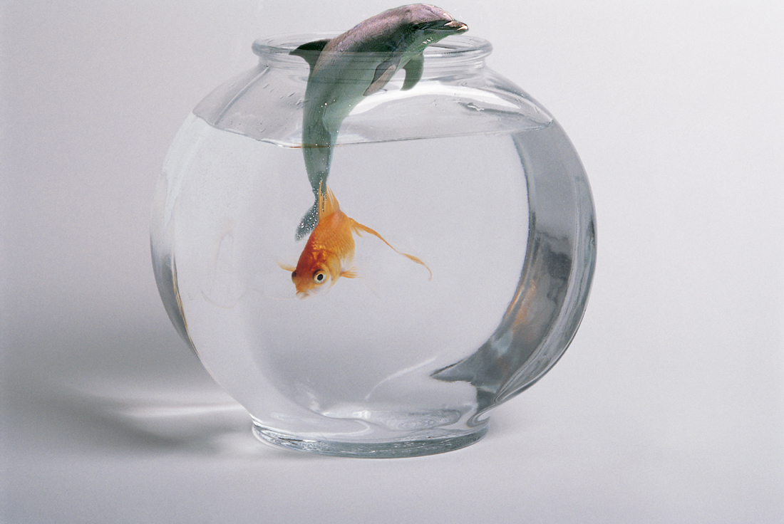 Photoshop Design by CubicPhear for DesignCrowd (Community Contests) | Design #9143390