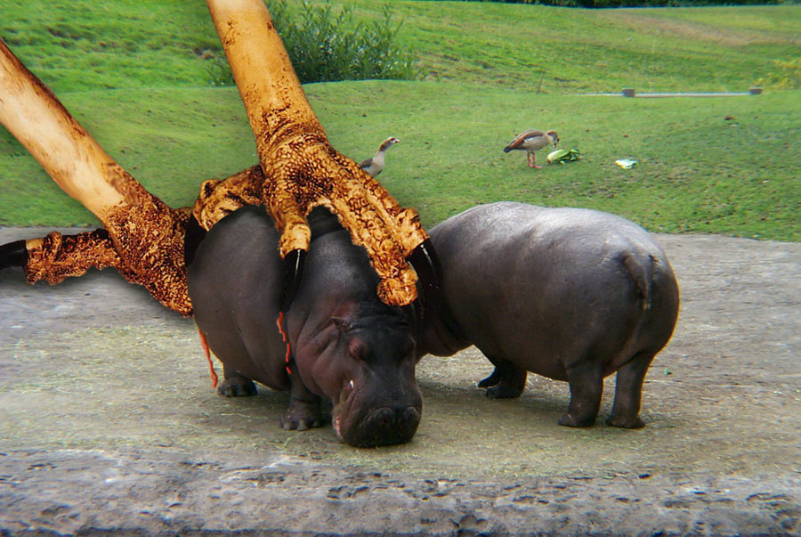 Photoshop Design by LeMolstad for DesignCrowd (Community Contests) | Design #9135565