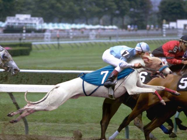 Photoshop Design by wernski for DesignCrowd (Community Contests) | Design #9143417