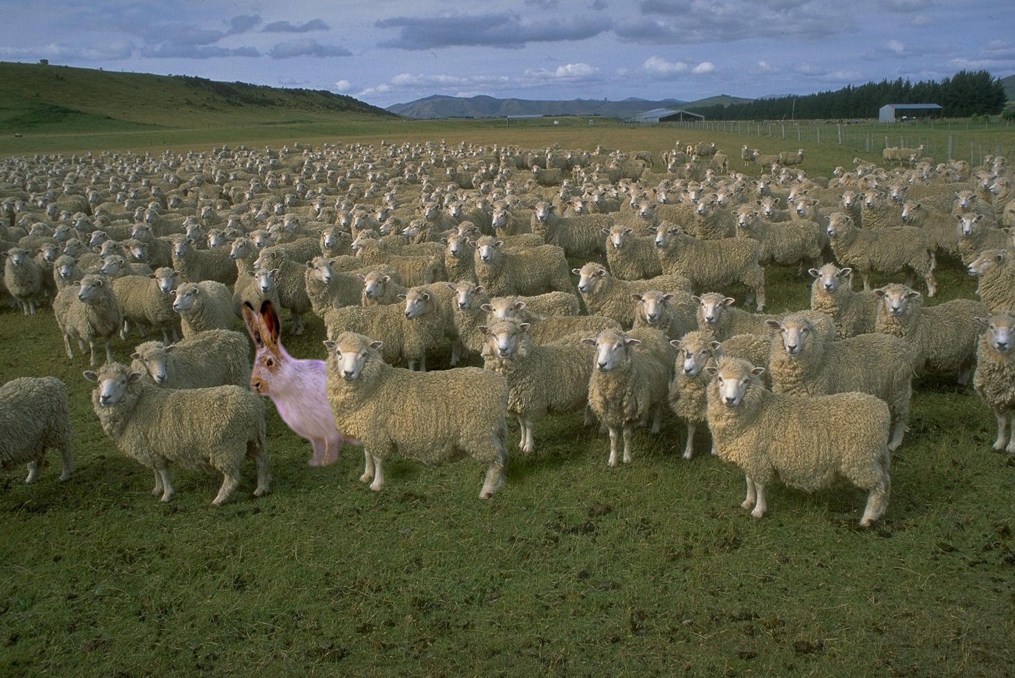 Diseño de Photoshop por TimeTraveler para DesignCrowd (Community Contests) | Diseño #9143365