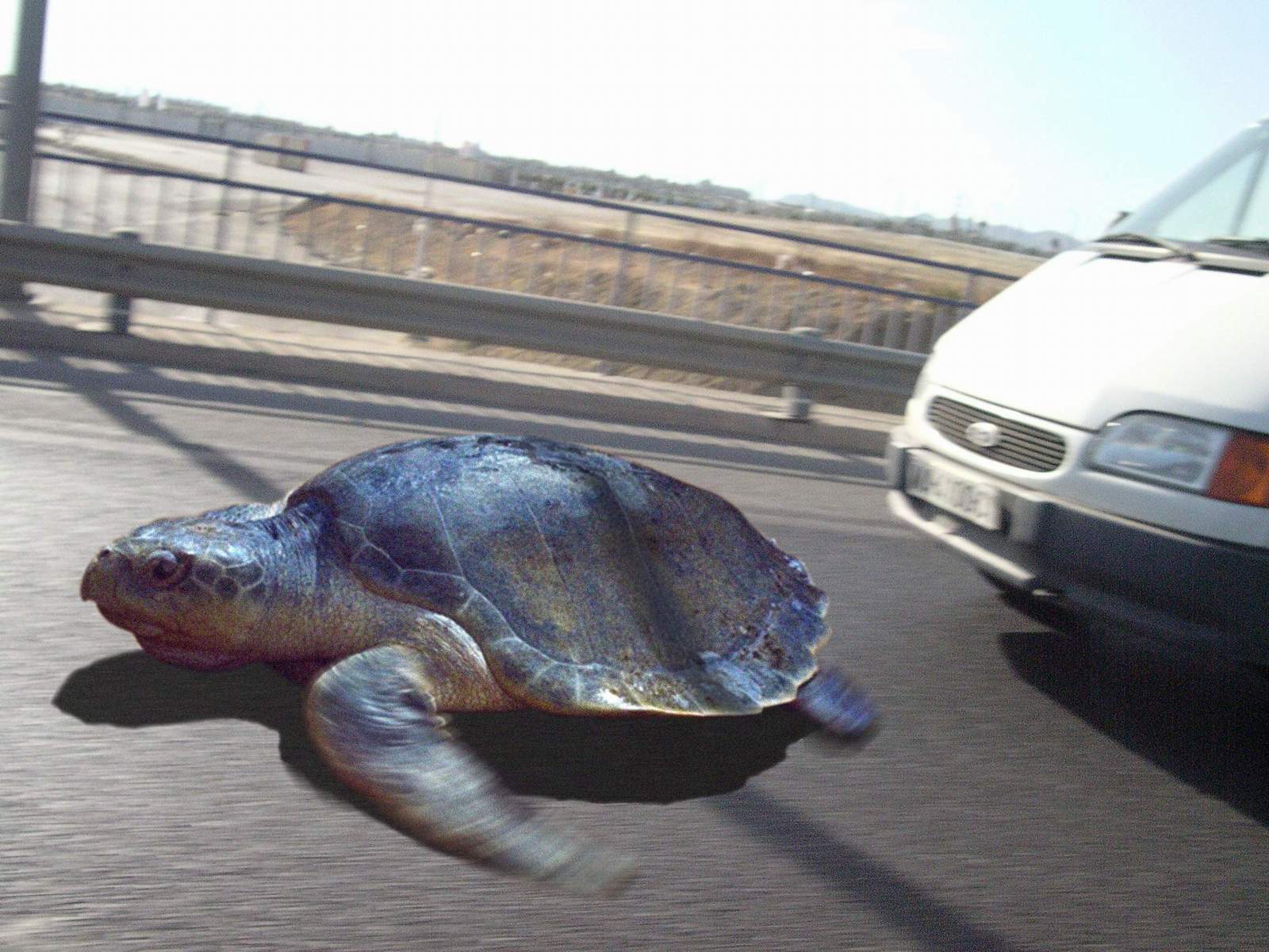 Photoshop Design by chaky for DesignCrowd (Community Contests) | Design #9143401