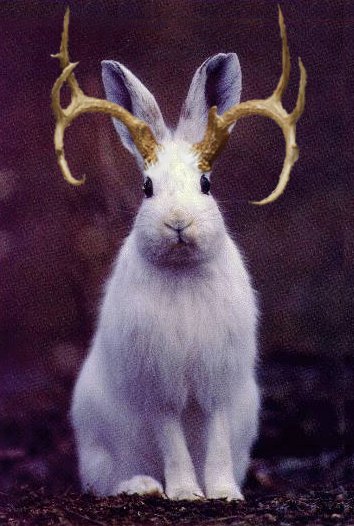 Photoshop-Design von shy_scientist für DesignCrowd (Community Contests) | Design #9135607