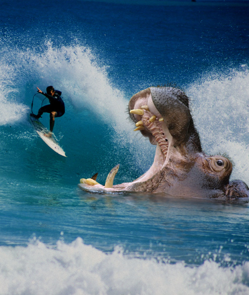 Photoshop Design by nixArt for DesignCrowd (Community Contests) | Design #9143408