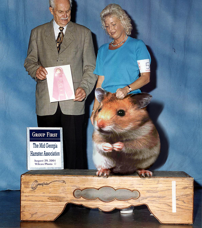 Diseño de Photoshop por LesKellert para DesignCrowd (Community Contests) | Diseño #9143368