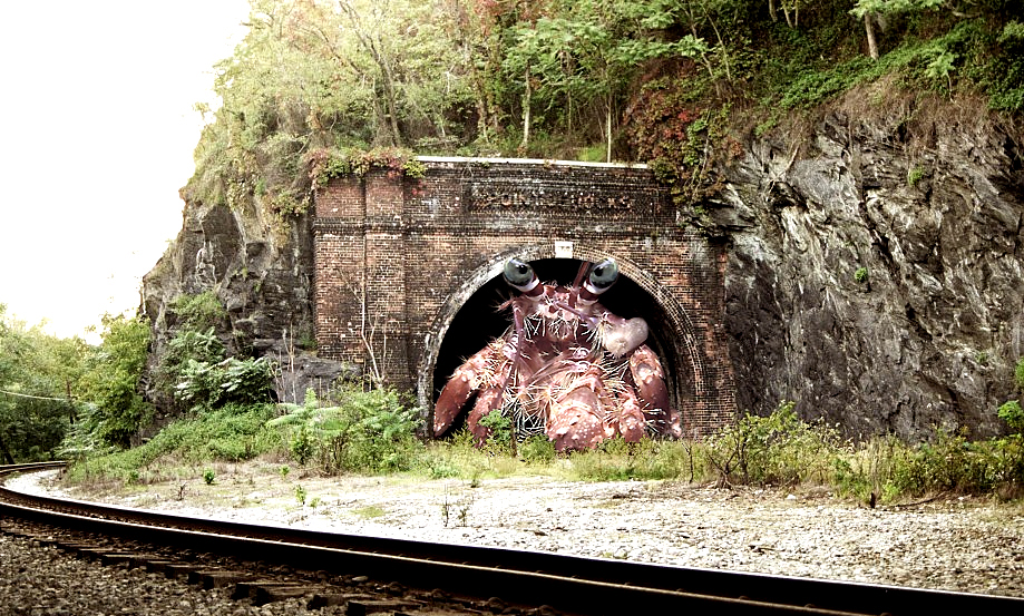 Photoshop Design by Pavel_87_BANNED for DesignCrowd (Community Contests) | Design #9143456