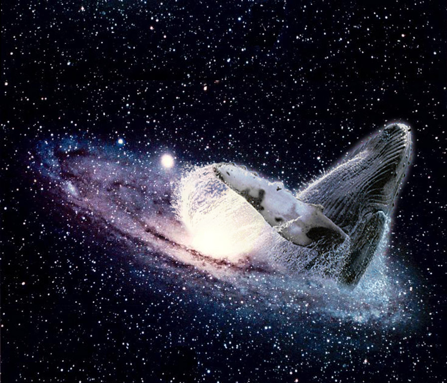 Diseño de Photoshop por Vortex para DesignCrowd (Community Contests) | Diseño #9143446