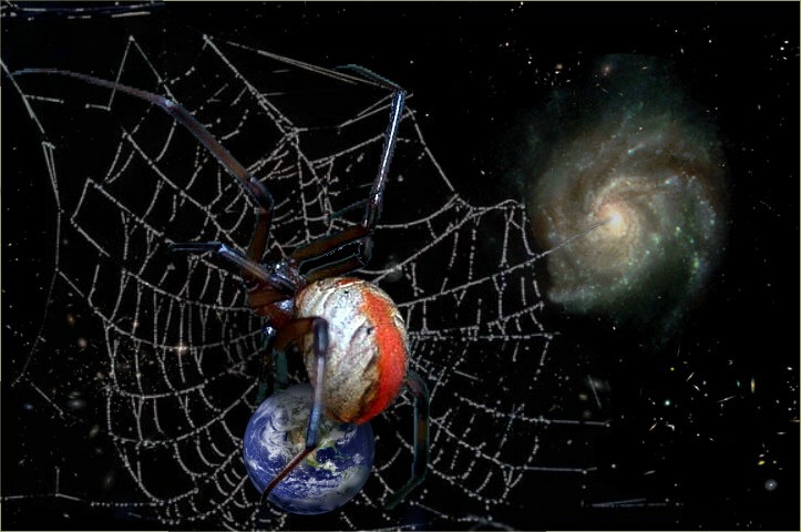 Diseño de Photoshop por froodleydoo para DesignCrowd (Community Contests) | Diseño #9143460