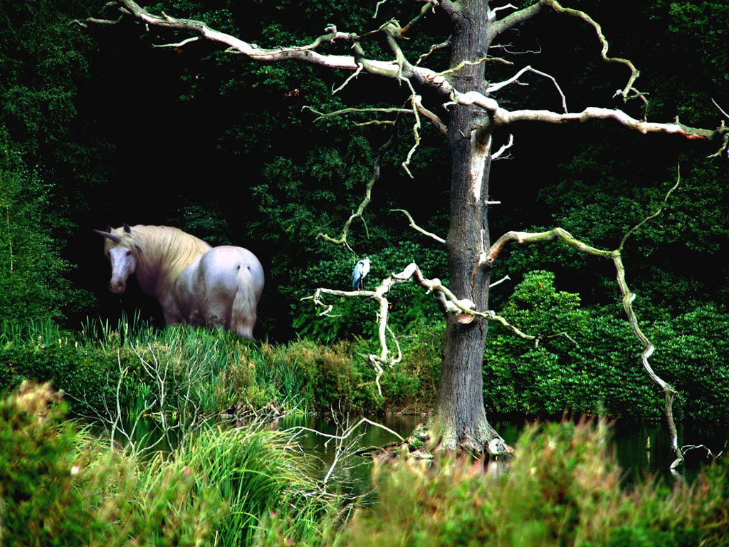 Photoshop Design by SkyEWR for DesignCrowd (Community Contests) | Design #9135647