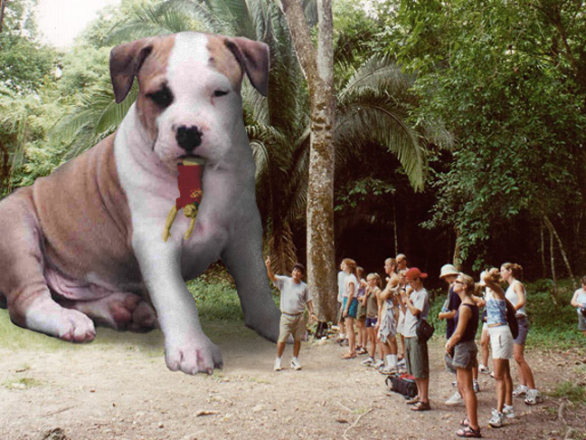 Photoshop Design by digsRus for DesignCrowd (Community Contests) | Design #9143465