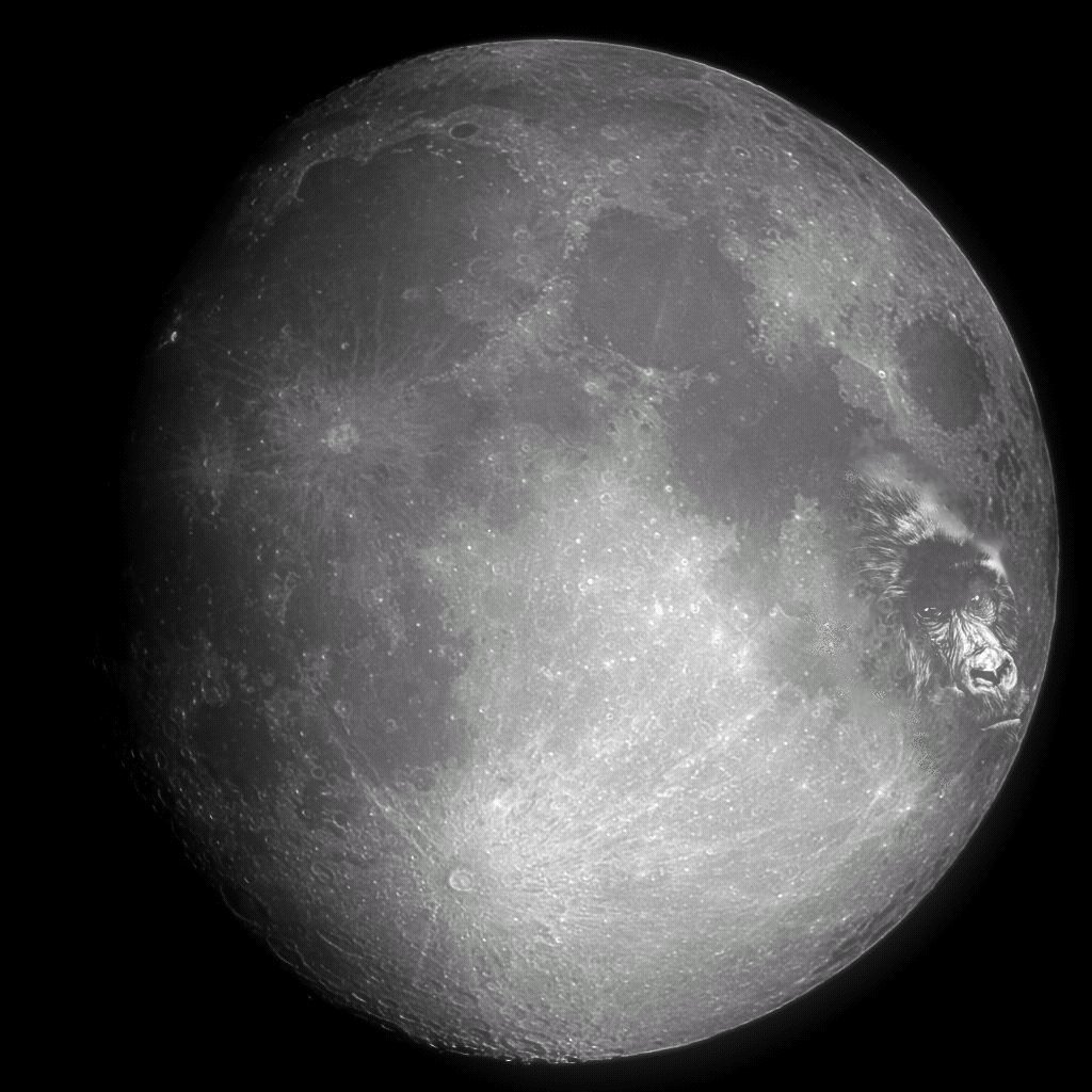 Photoshop-Design von cheetahsgirl2003 für DesignCrowd (Community Contests) | Design #9137176