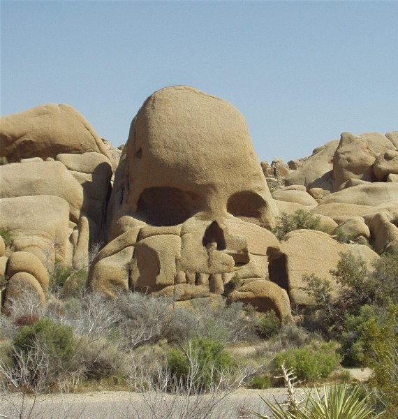 Photoshop-Design von Nana für DesignCrowd (Community Contests) | Design #9137158