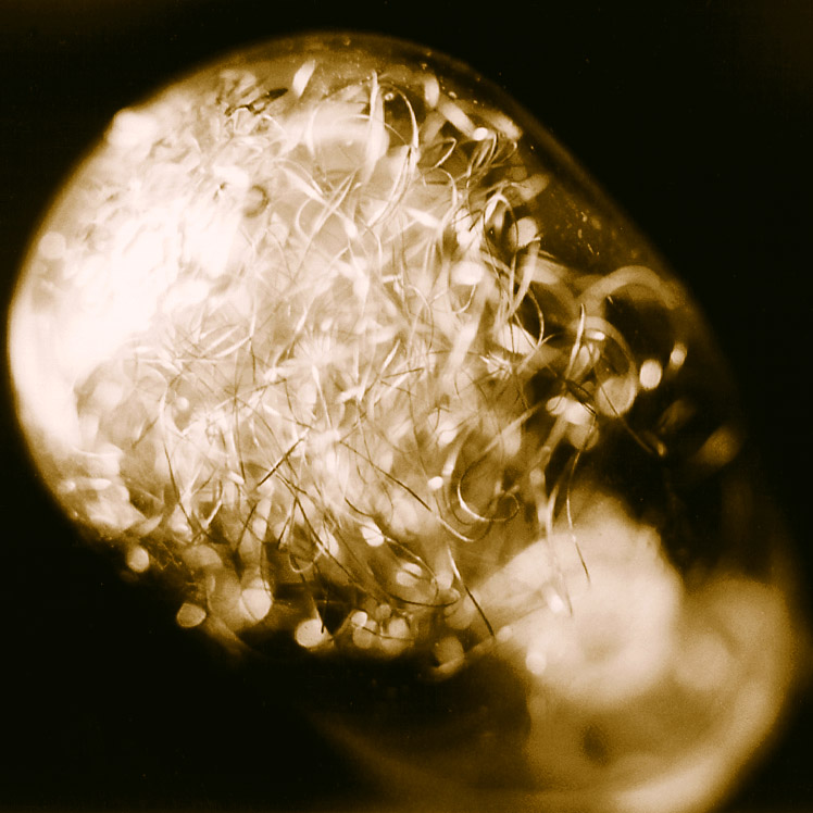 Photography by satyricon for DesignCrowd (Community Contests) | Design #9135073