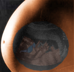 Diseño de Photoshop por byoss para DesignCrowd (Community Contests) | Diseño #9136934