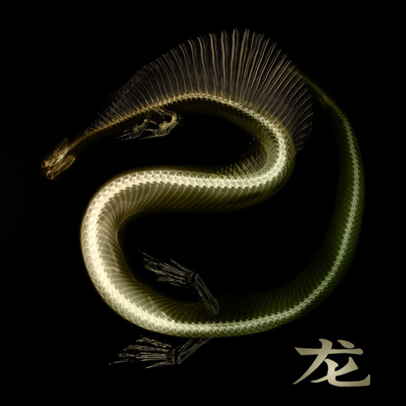 Diseño de Photoshop por Vortex para DesignCrowd (Community Contests) | Diseño #9136938