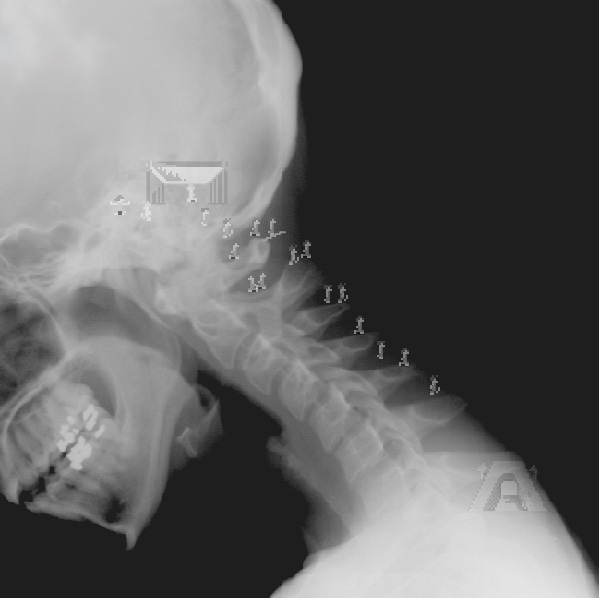 Photoshop-Design von CerysJ für DesignCrowd (Community Contests) | Design #9136958