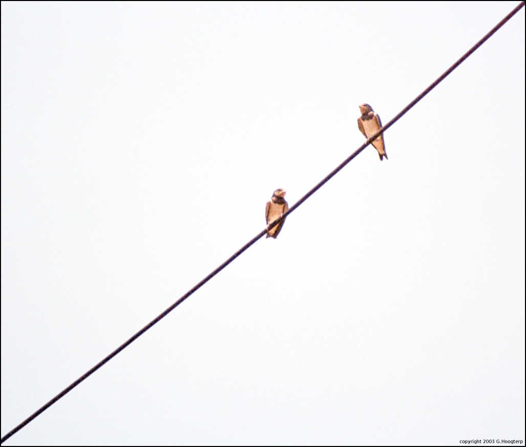 Photographie par Jondor pour DesignCrowd (Community Contests) | Design #9132931