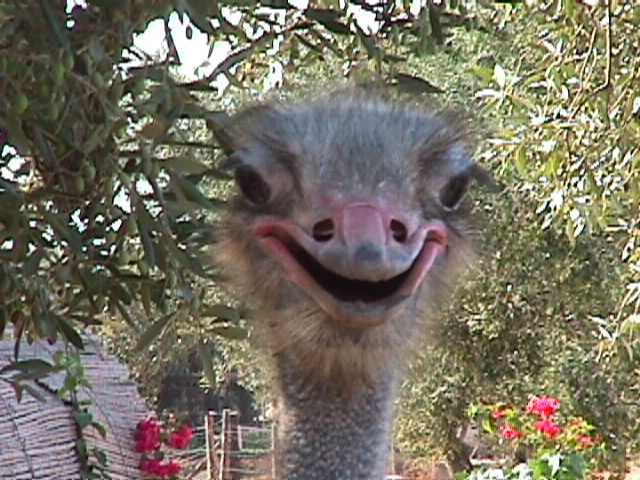 Photography by emandan for DesignCrowd (Community Contests) | Design #9132917