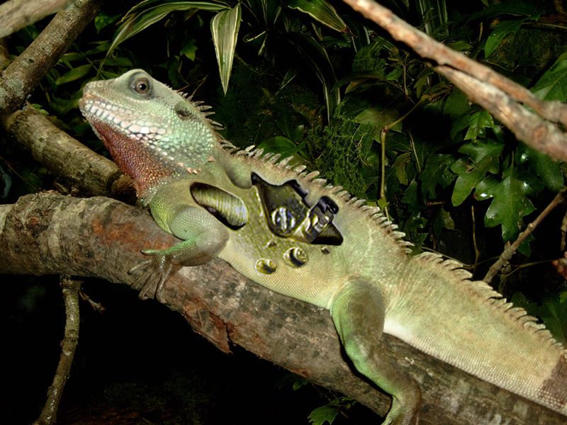 Photoshop-Design von CerysJ für DesignCrowd (Community Contests) | Design #9121655