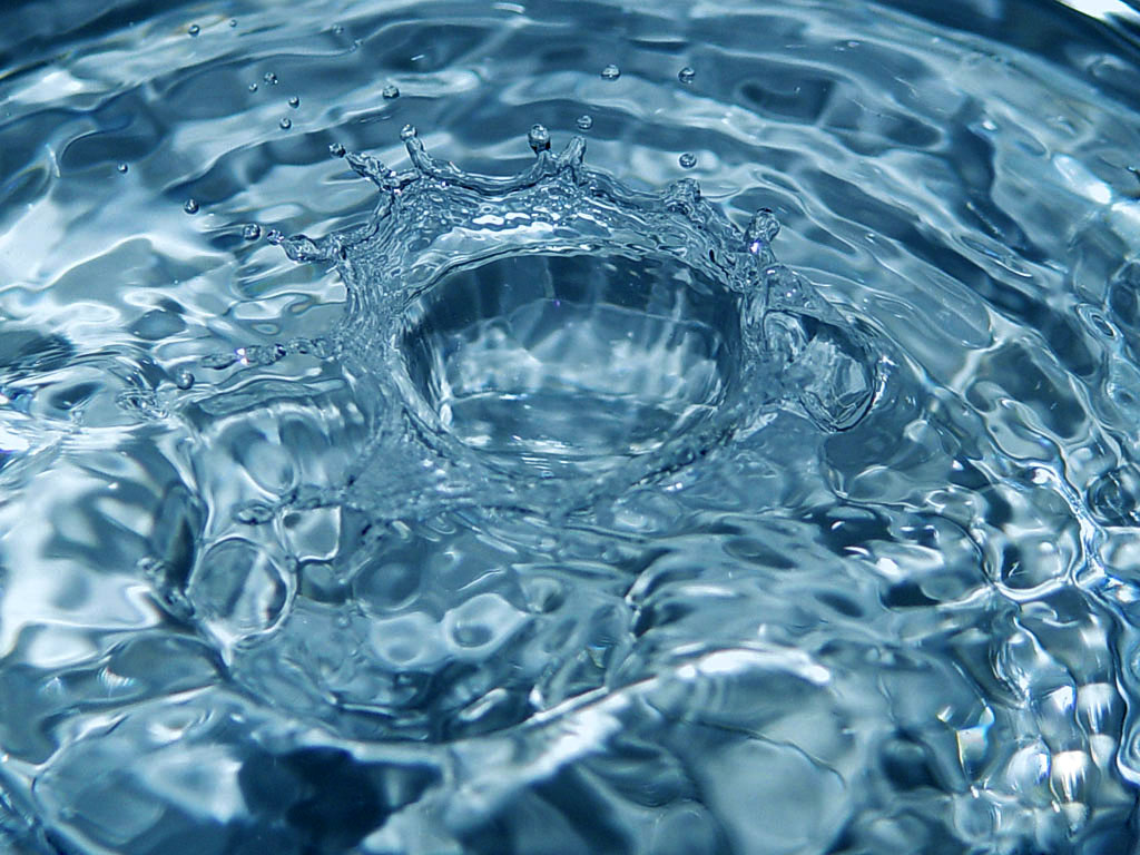 Photography by alpcos for DesignCrowd (Community Contests) | Design #9120906