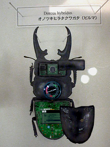 Design Photoshop par Cubasa pour DesignCrowd (Community Contests) | Design #9121659