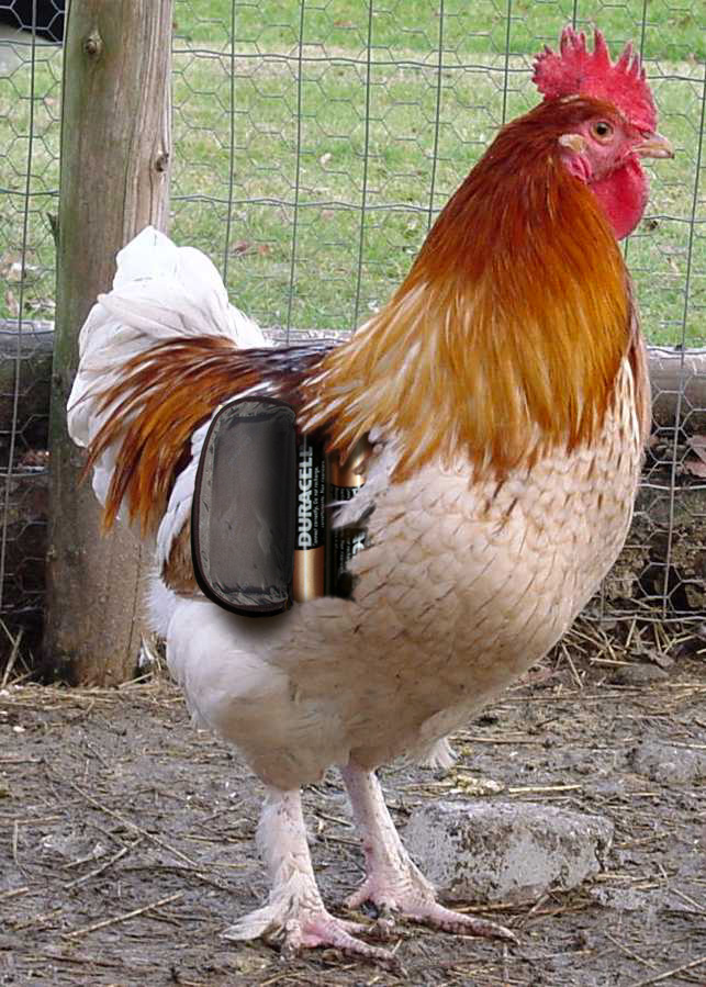 Design Photoshop par avinagoo pour DesignCrowd (Community Contests) | Design #9121662