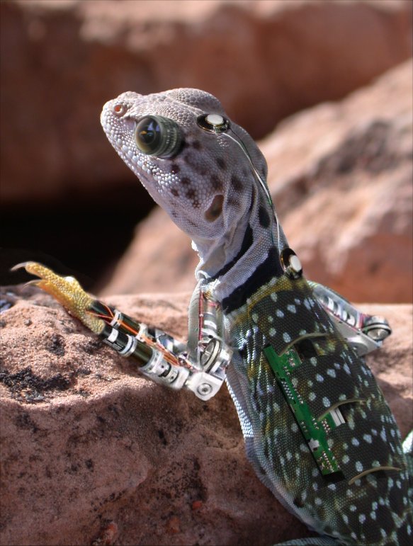 Photoshop-Design von Garsaelon für DesignCrowd (Community Contests) | Design #9121693