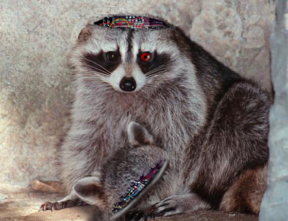 Photoshop Design by whitewhale for DesignCrowd (Community Contests) | Design #9121750