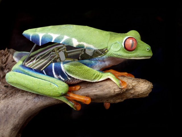 Photoshop Design by drusso for DesignCrowd (Community Contests) | Design #9121732