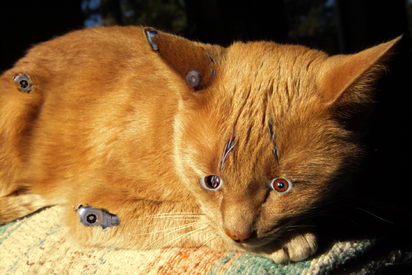 Diseño de Photoshop por LesKellert para DesignCrowd (Community Contests) | Diseño #9121738