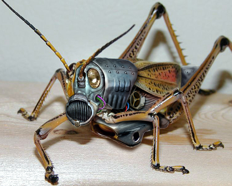 Photoshop-Design von CCZ für DesignCrowd (Community Contests) | Design #9121679