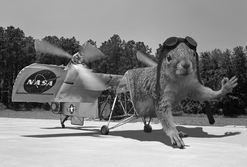 Photoshop Design by digsRus for DesignCrowd (Community Contests) | Design #9121814