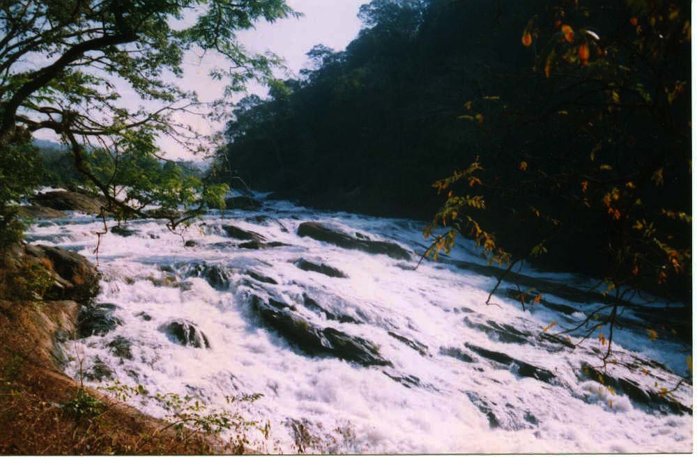 Fotografía por vgmn1956 para DesignCrowd (Community Contests) | Diseño #9120942