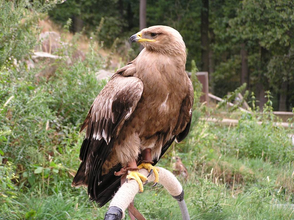 Photography by TyChO for DesignCrowd (Community Contests) | Design #9133108