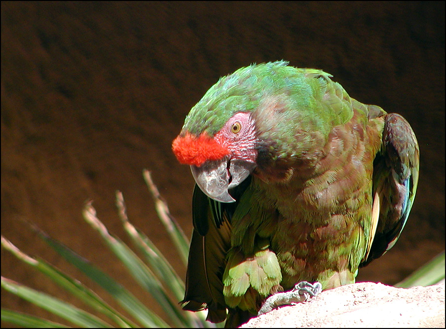 Photography by compugoddess for DesignCrowd (Community Contests) | Design #9133140