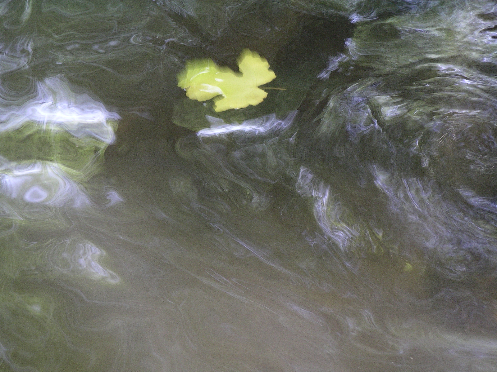 Photography by susv for DesignCrowd (Community Contests) | Design #9120952