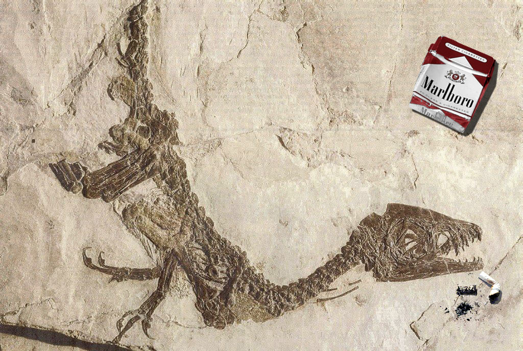 Diseño de Logo por damonfreemanza para DesignCrowd (Community Contests) | Diseño #9133941