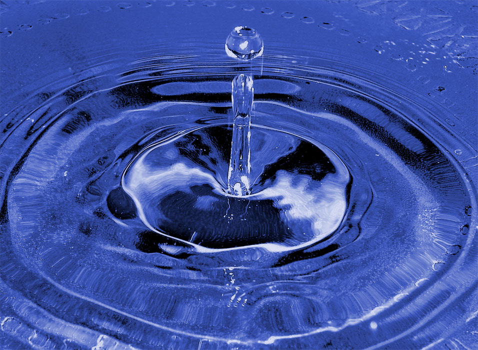 Photography by branie for DesignCrowd (Community Contests) | Design #9120957