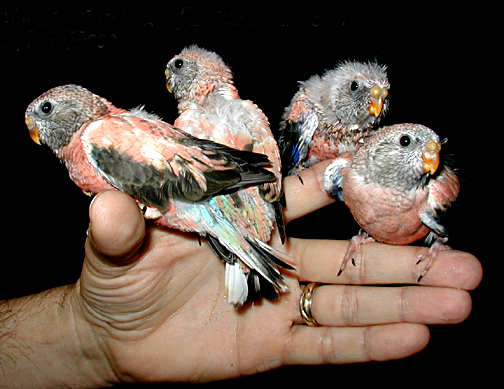 Photography by Decapod73 for DesignCrowd (Community Contests) | Design #9133123