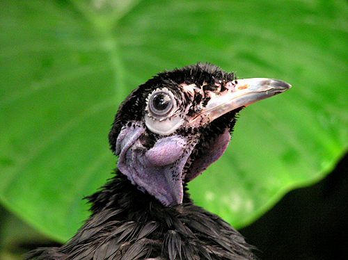 Photography by cometgymmom for DesignCrowd (Community Contests) | Design #9133165