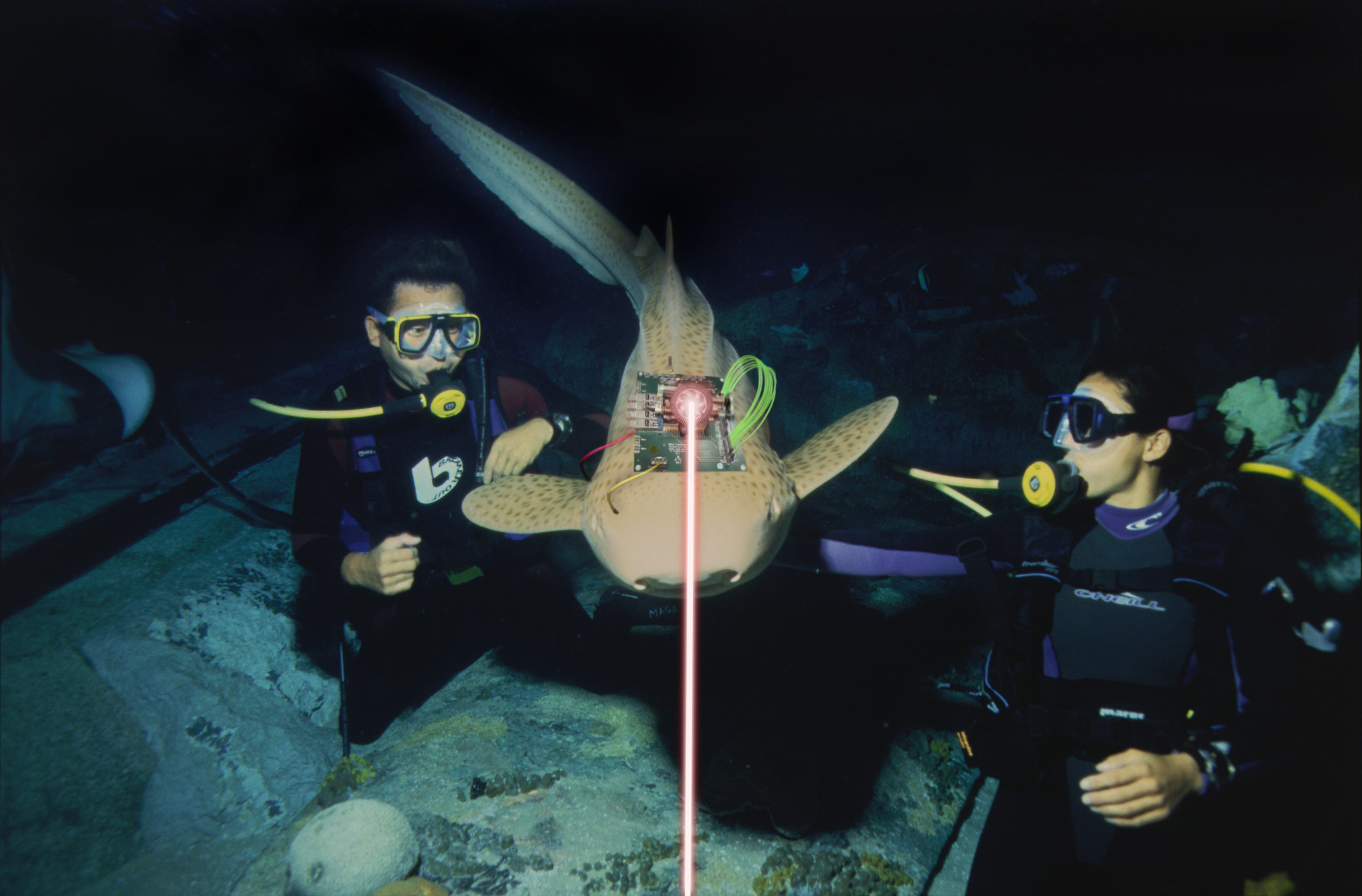 Photoshop Design by bigbucho for DesignCrowd (Community Contests) | Design #9134529