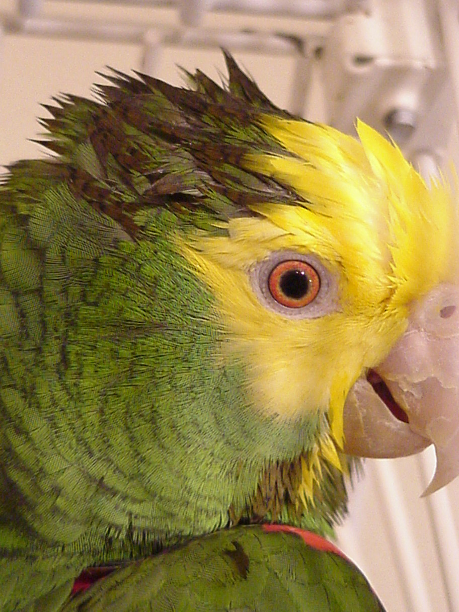 Photography by dkgraphicarts for DesignCrowd (Community Contests) | Design #9133213