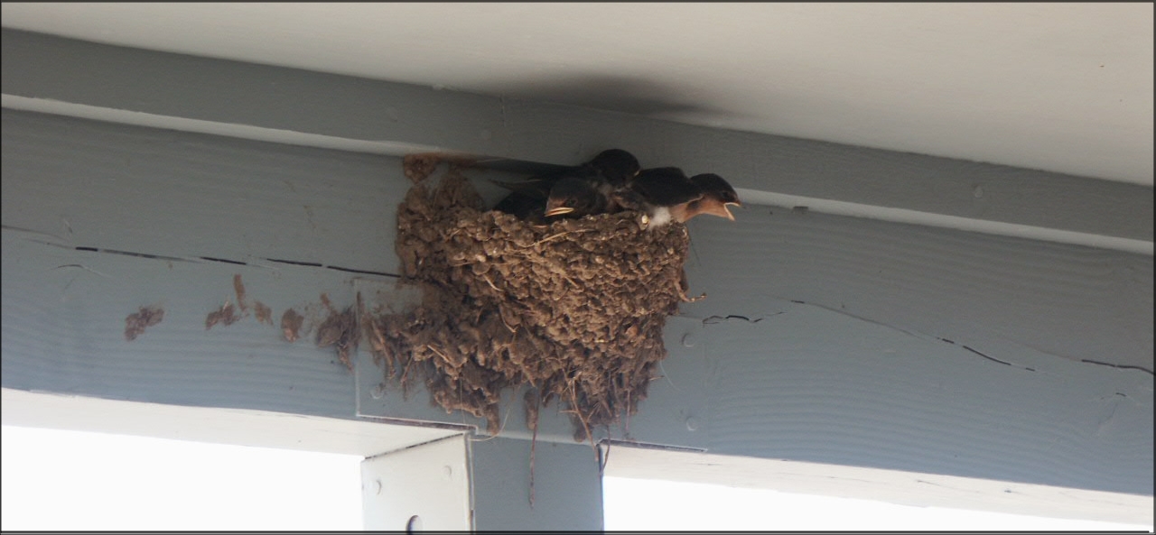 Photography by Vincent for DesignCrowd (Community Contests) | Design #9133086