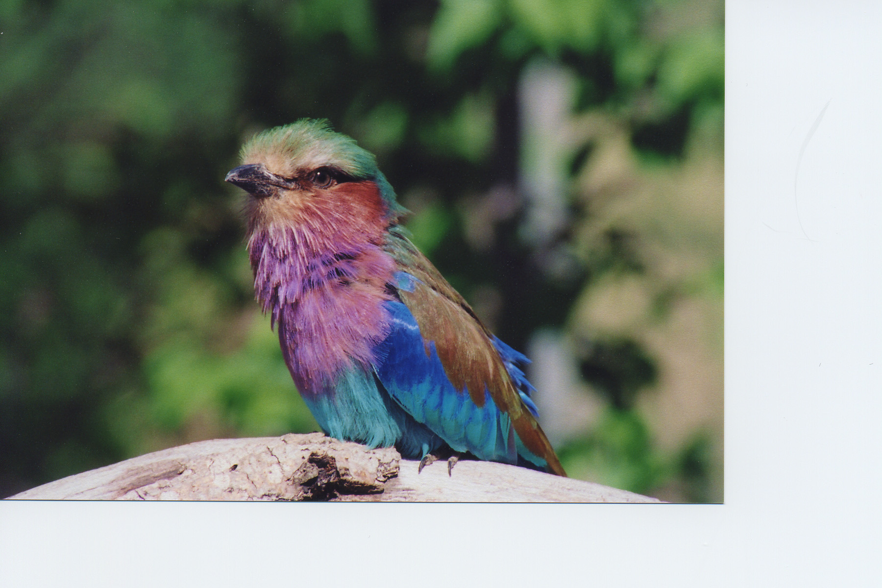 Photography by rhydhun for DesignCrowd (Community Contests) | Design #9133198
