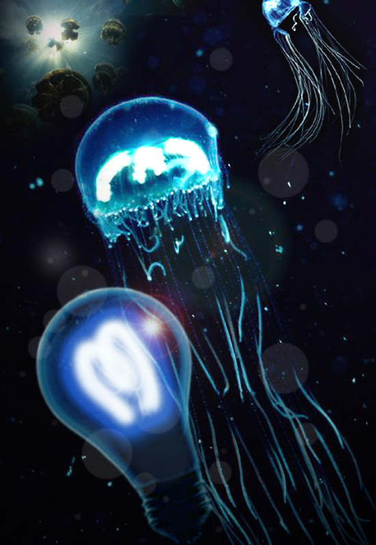 Design Photoshop par blueorb pour DesignCrowd (Community Contests) | Design #9121166