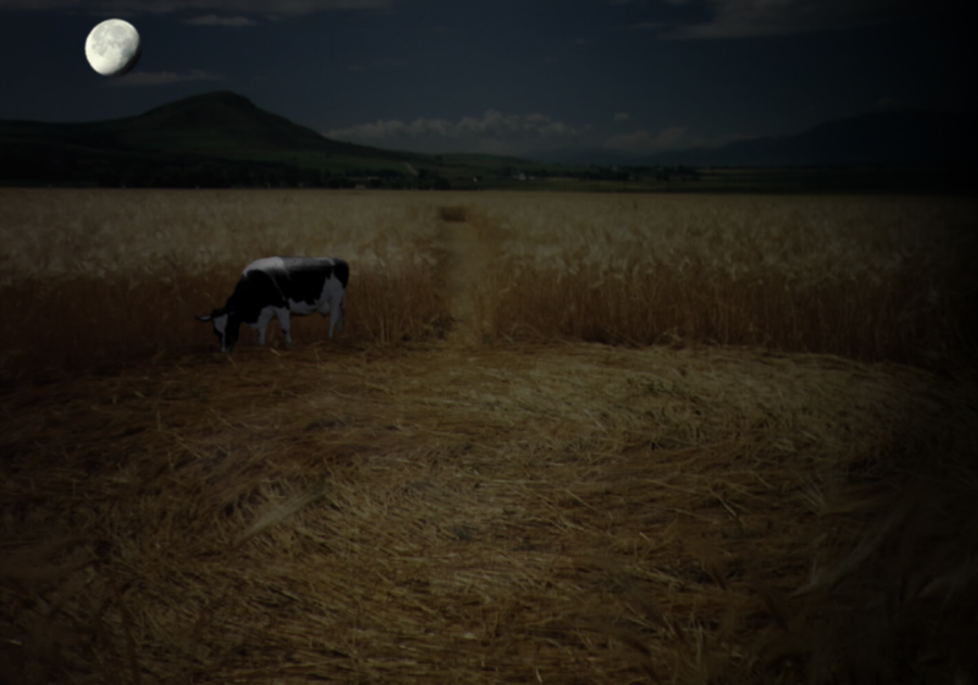 Design de Logo par bikejump pour DesignCrowd (Community Contests) | Design #9133966