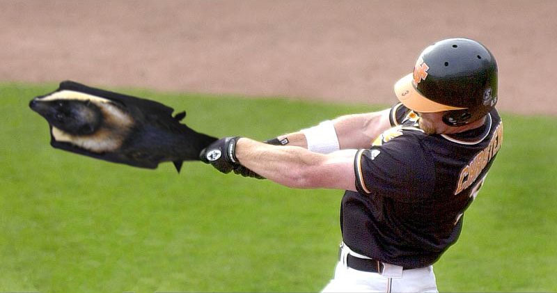 Photoshop Design by Wingnut for DesignCrowd (Community Contests) | Design #9134632