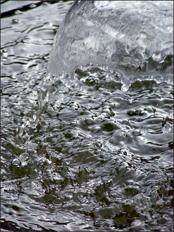 Photography by jmbaggs for DesignCrowd (Community Contests) | Design #9121150