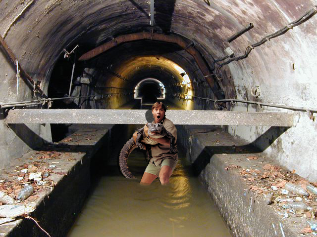 Diseño de Logo por DigitalExtreme para DesignCrowd (Community Contests) | Diseño #9134146